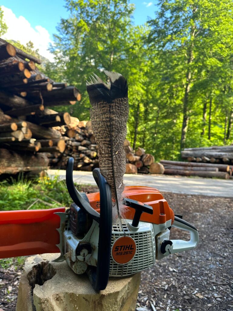 Eine Kettensäge liegt neben einer dekorativen Feder, beide als Werkzeuge für die Holzschnitzerei arrangiert